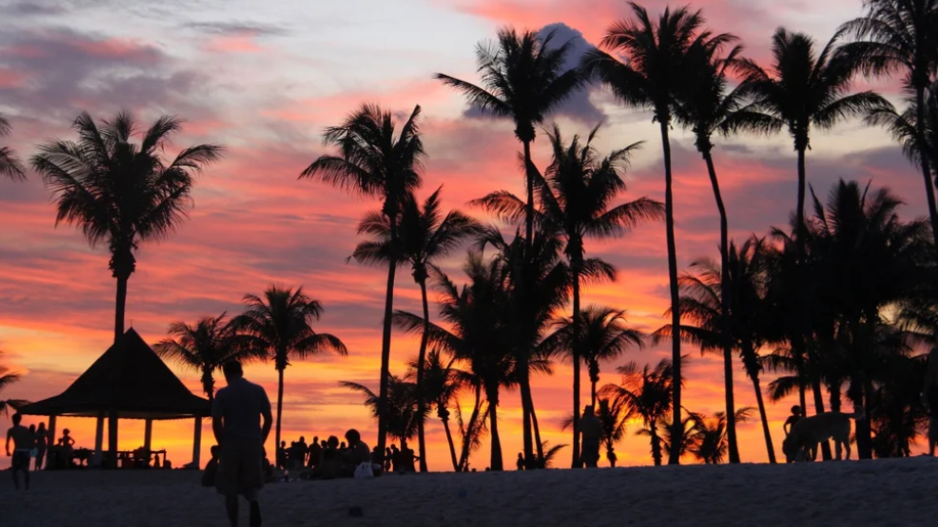 Silhouettes of palm trees and people at Tanjong Beach Club during a vibrant sunset in Sentosa, Singapore.