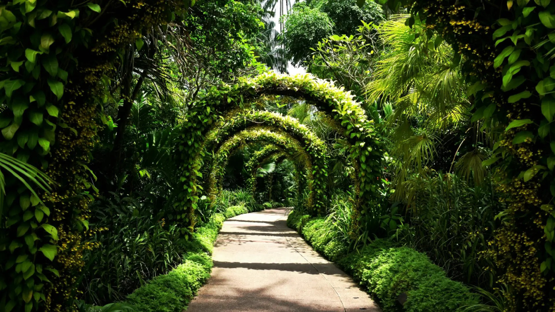 Leaf-covered archways forming a shaded walkway surrounded by lush greenery in the Singapore Botanic Gardens.