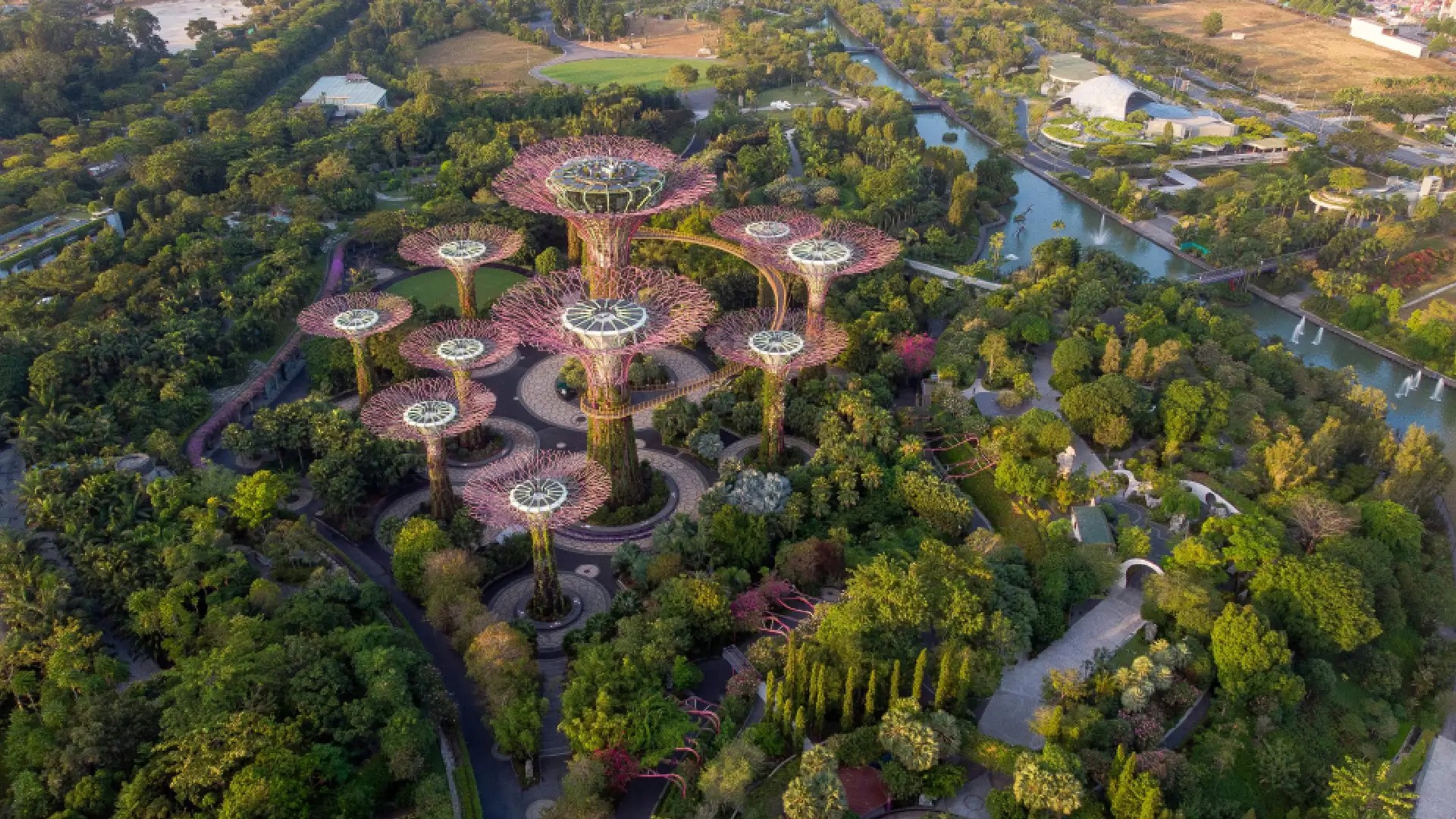 gardens-by-the-bay-supertree-grove-aerial-singapore.webp Aerial view of the Supertree Grove at Gardens by the Bay in Singapore, surrounded by lush greenery and scenic walking paths.