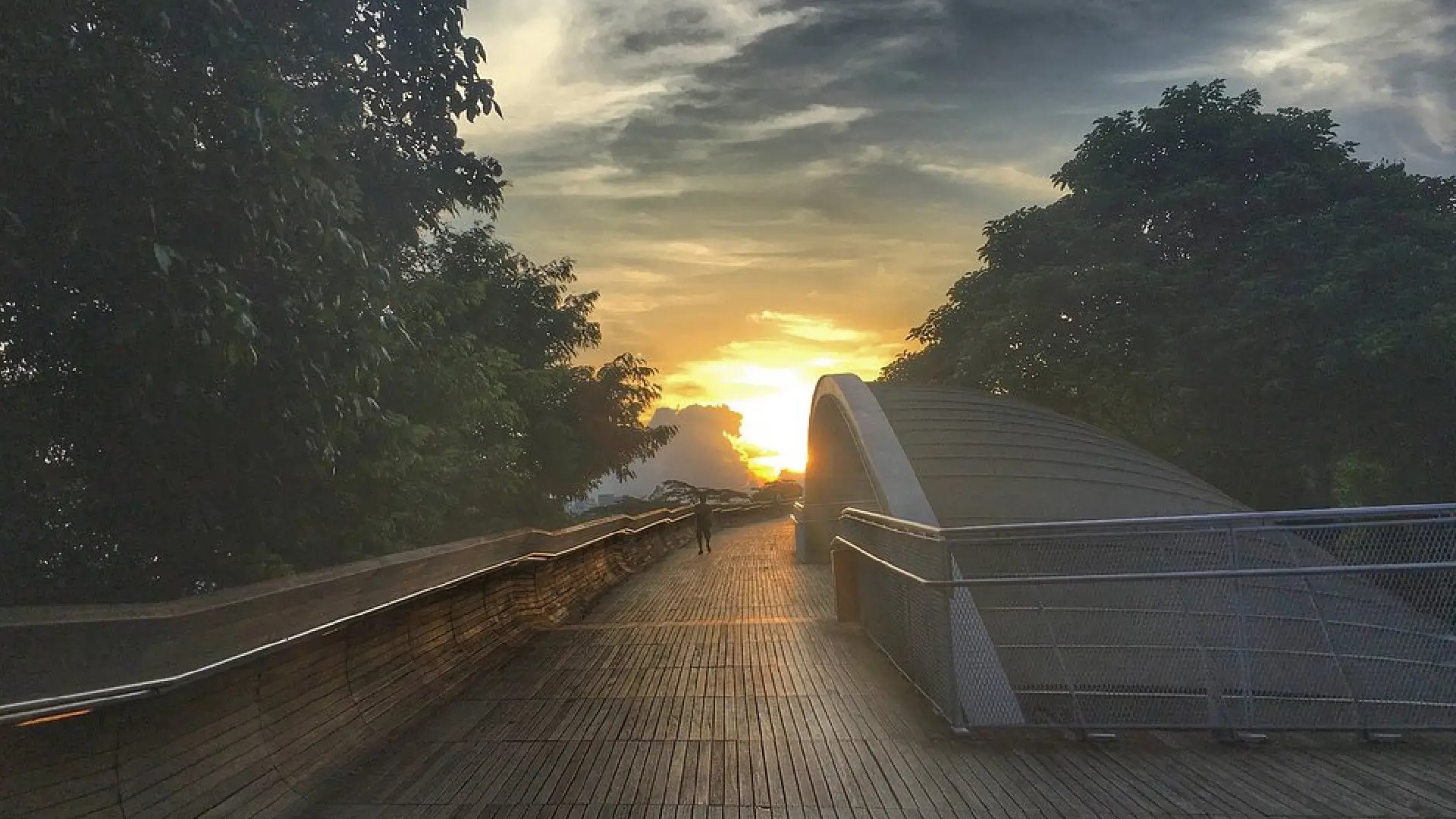 Sunset view along Henderson Waves Bridge with a lone walker surrounded by lush greenery in Singapore.