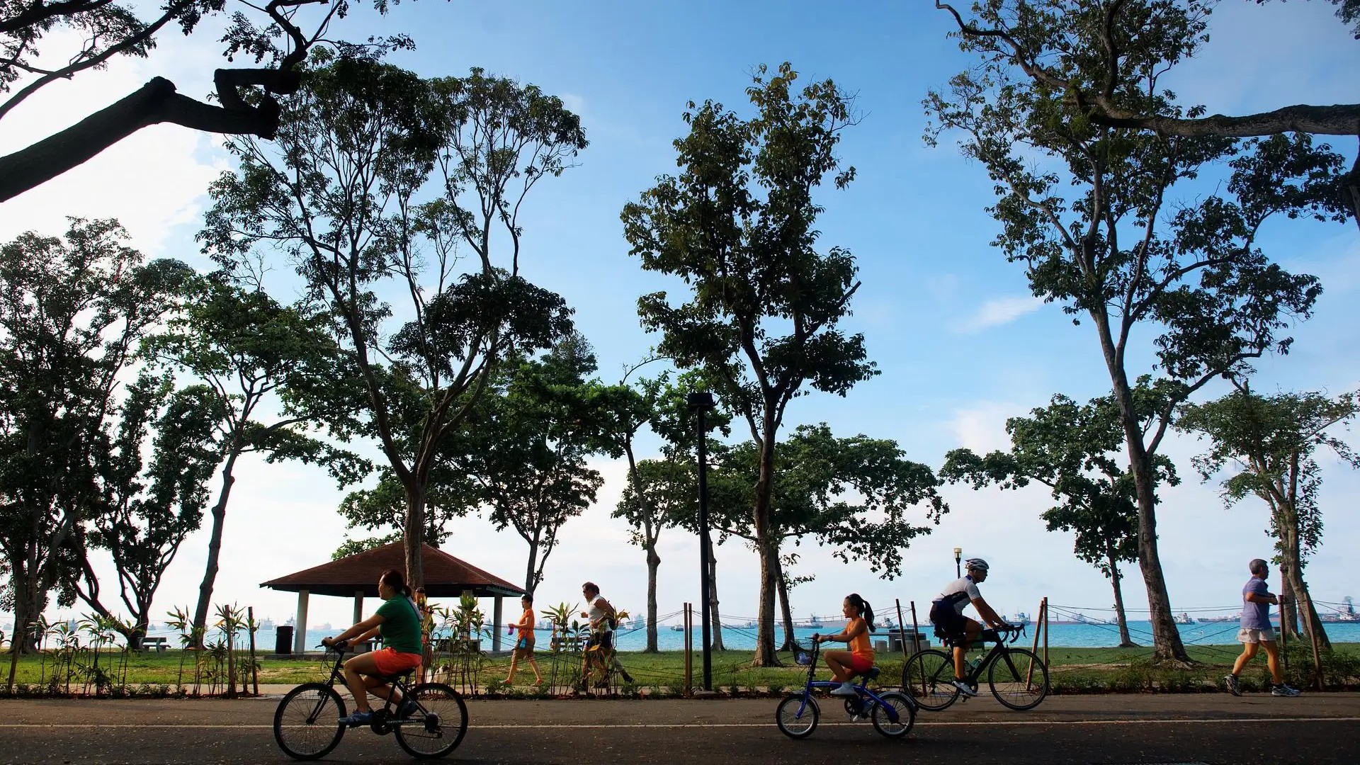 People cycling and walking along the waterfront path at East Coast Park in Singapore, with tall trees and ocean views in the background.