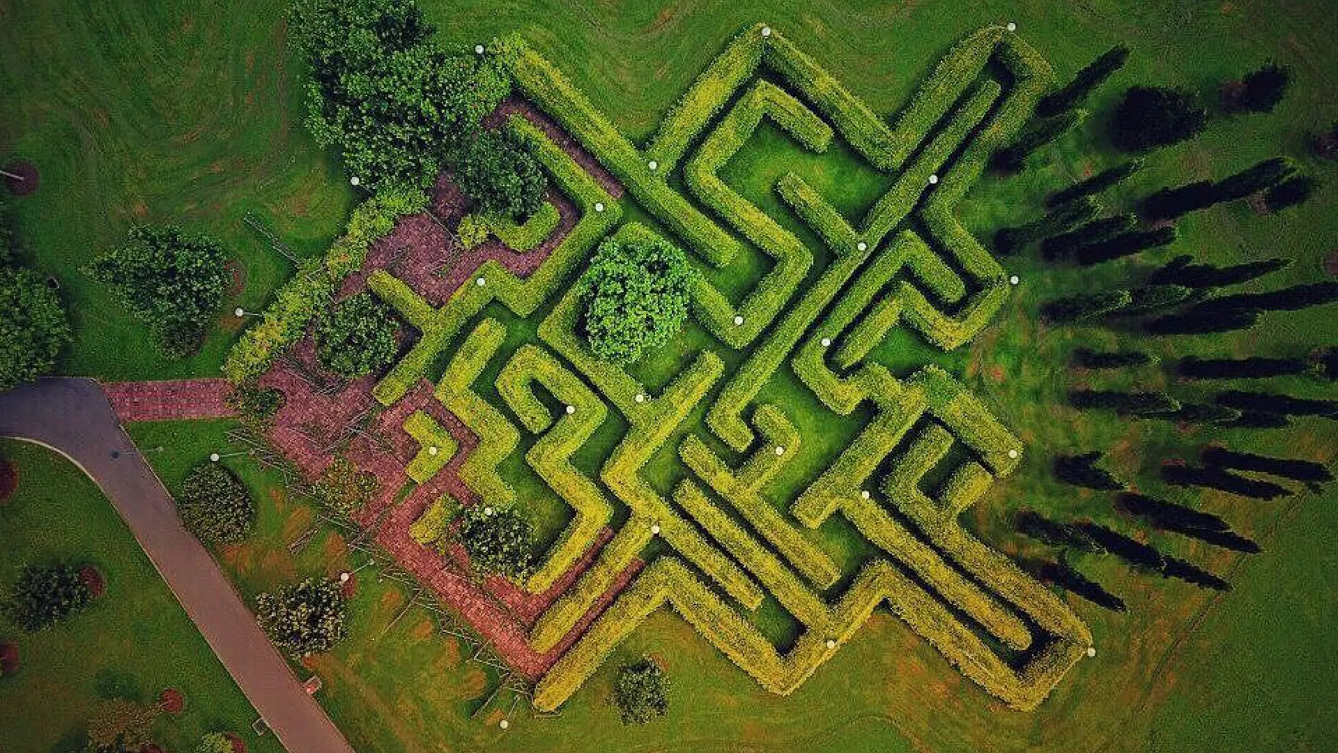 Aerial view of the hedge maze at Pasir Ris Park in Singapore, surrounded by lush green lawns and pathways.