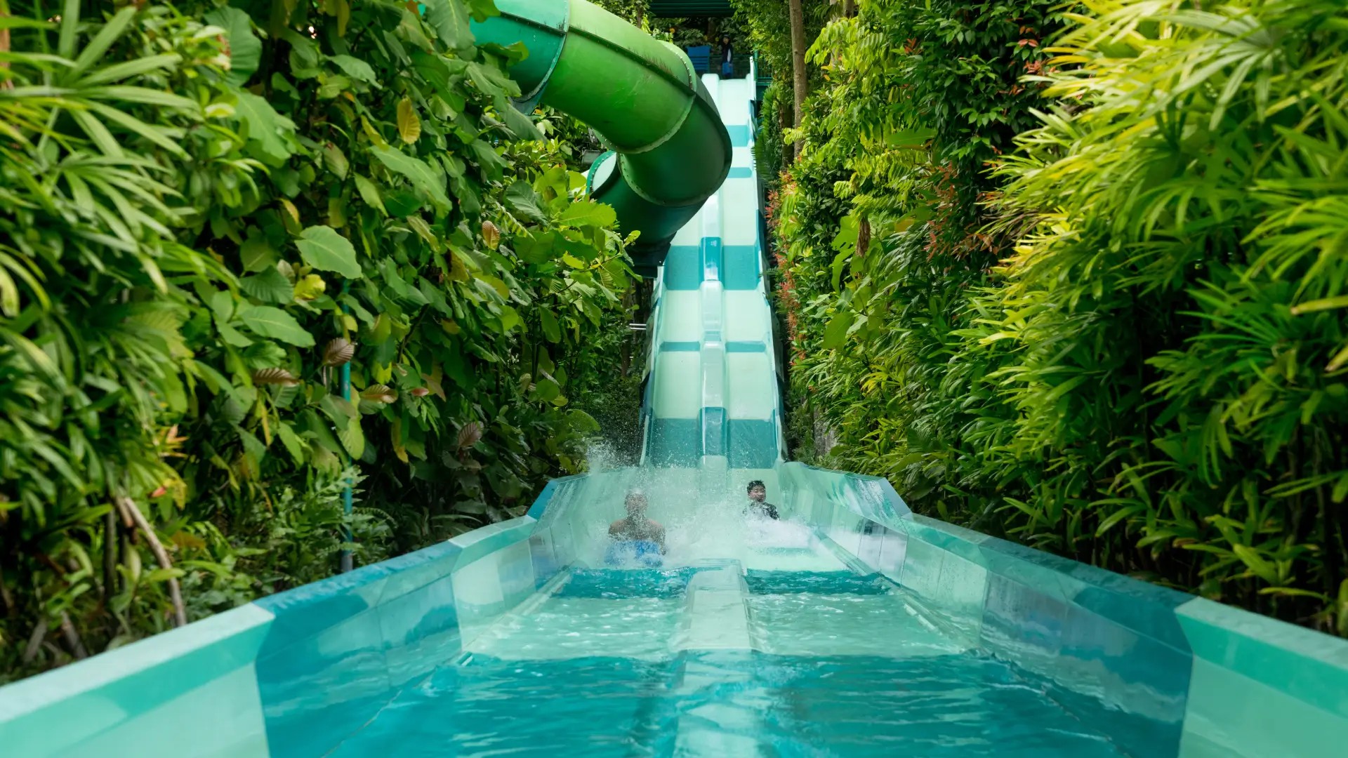Two people splashing down a turquoise water slide surrounded by lush greenery at Adventure Cove Waterpark in Singapore.