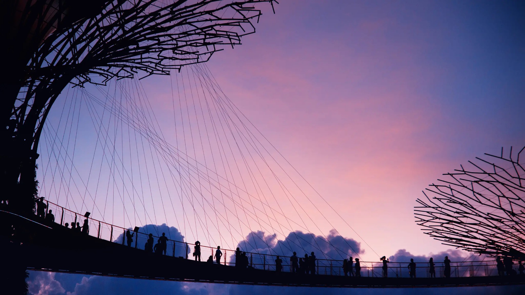 Silhouettes of visitors walking along the OCBC Skyway at Gardens by the Bay during a colourful sunset.