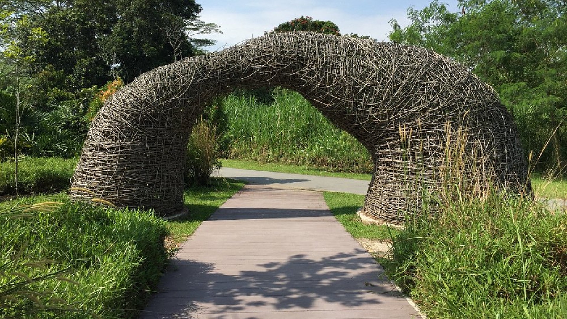 Wooden walking trail passing through lush wetlands at Kranji Marshes, a peaceful nature reserve in Singapore.