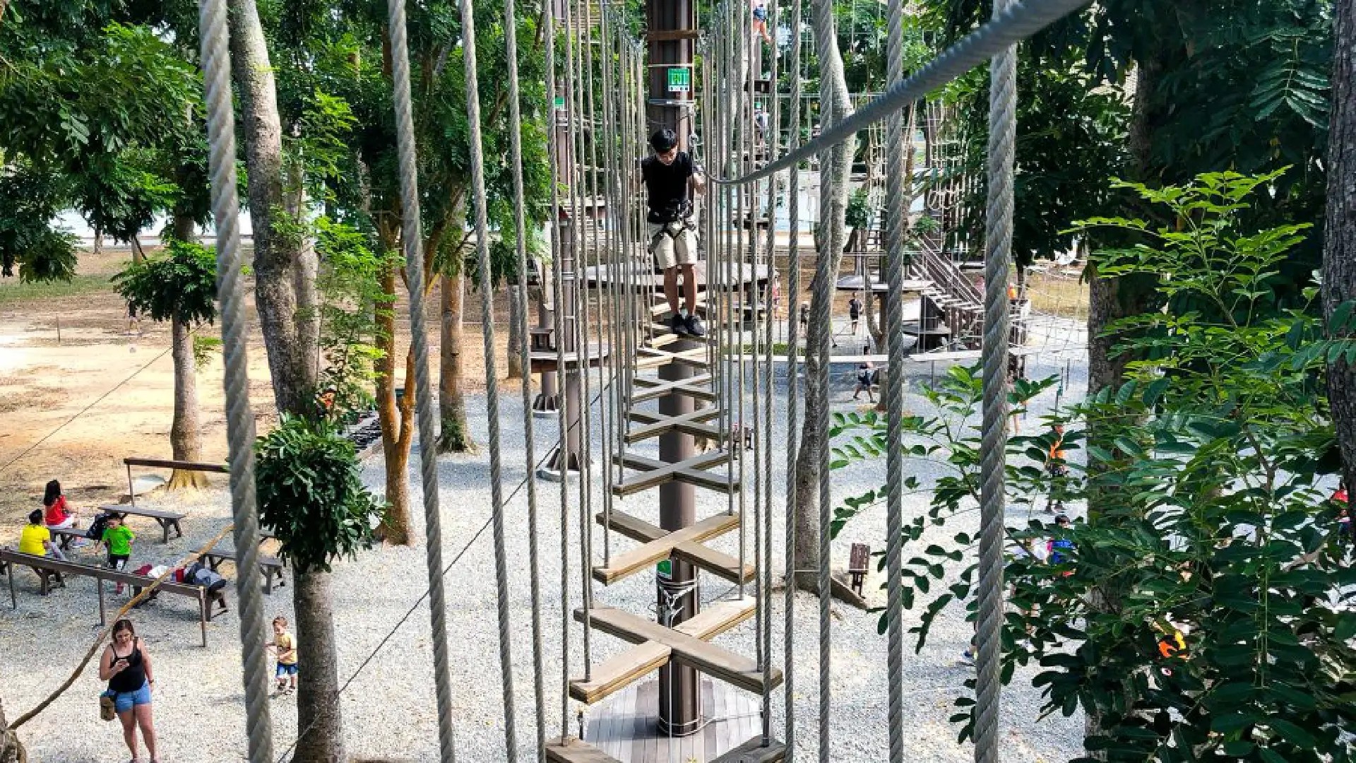 Person crossing a high ropes and zipline obstacle suspended among treetops at Forest Adventure Bedok Reservoir, showcasing a classic outdoor adventure activity in Singapore.