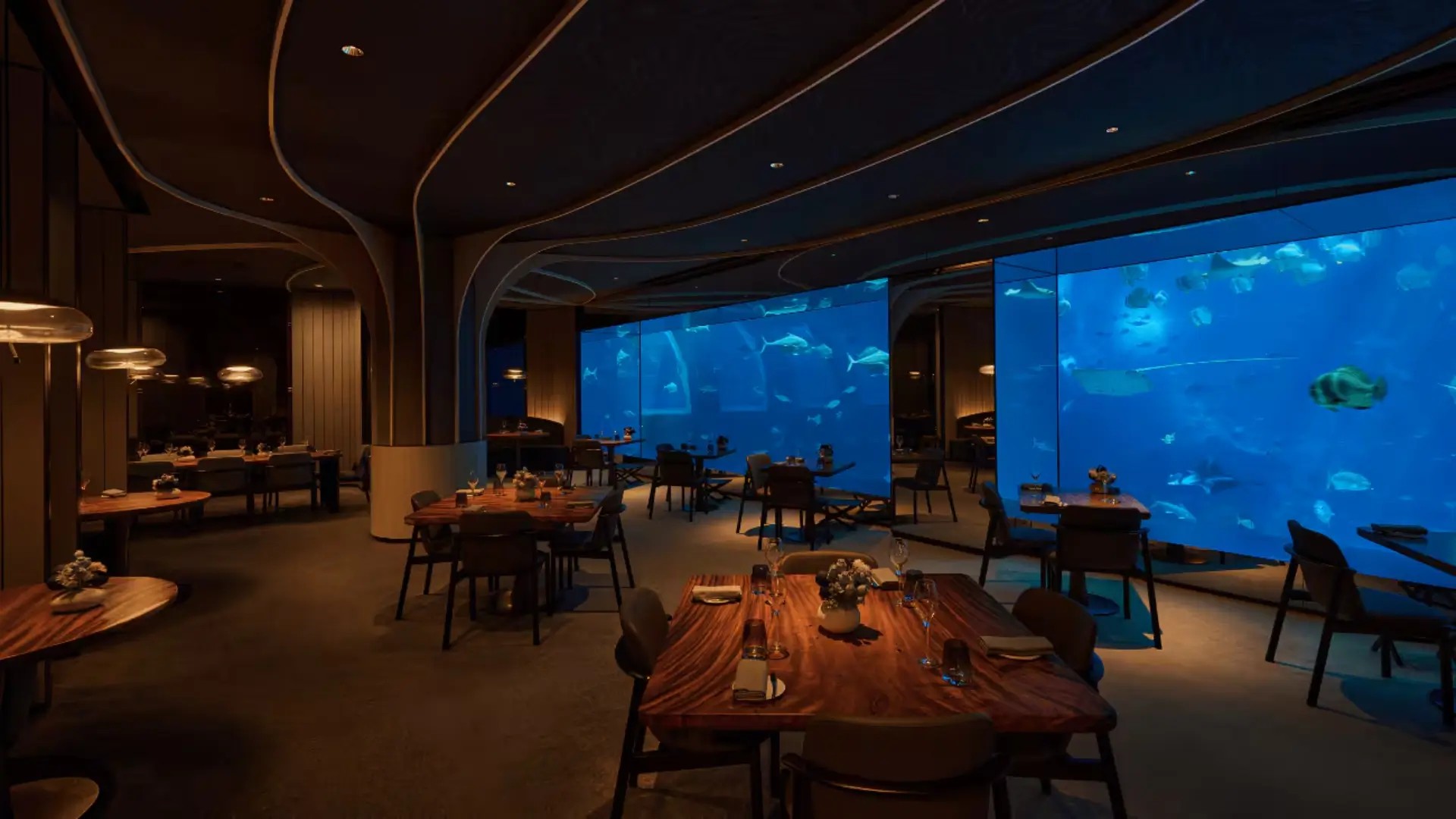 Guests dining beside floor-to-ceiling aquarium windows at Ocean Restaurant Singapore, surrounded by manta rays and marine life.