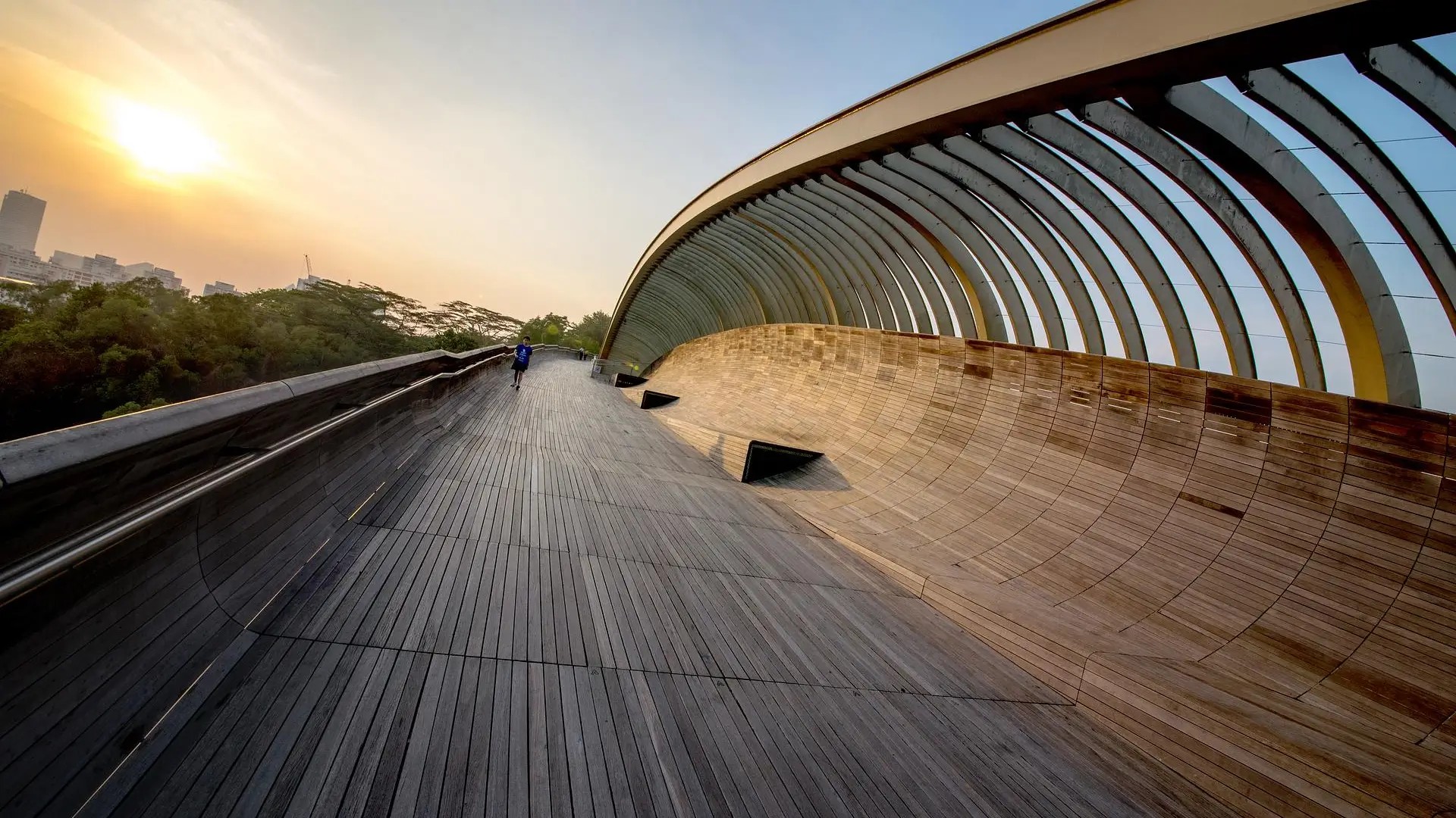 Henderson Waves sky bridge at sunset along the Southern Ridges, featuring its iconic curved wooden walkway and city views.