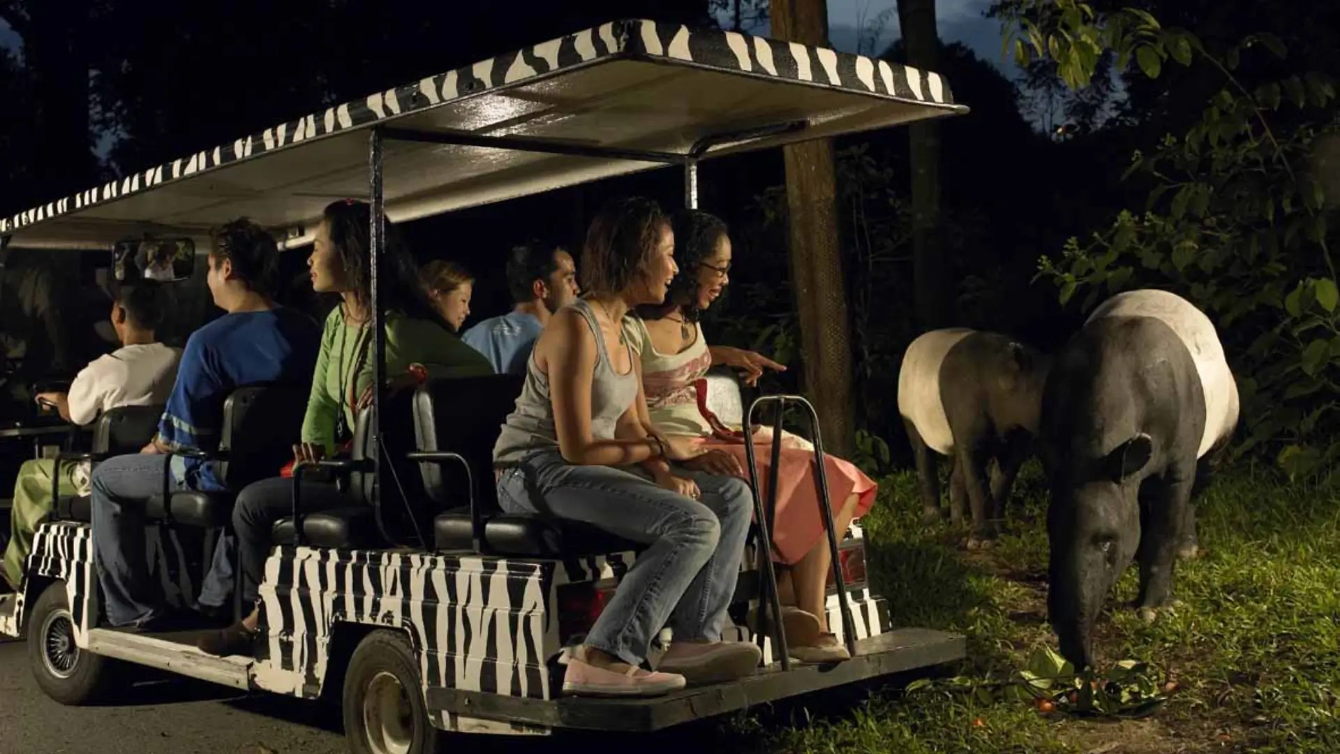 Night Safari tram ride with visitors spotting tapirs in softly lit rainforest habitat at Mandai Wildlife Reserve, Singapore