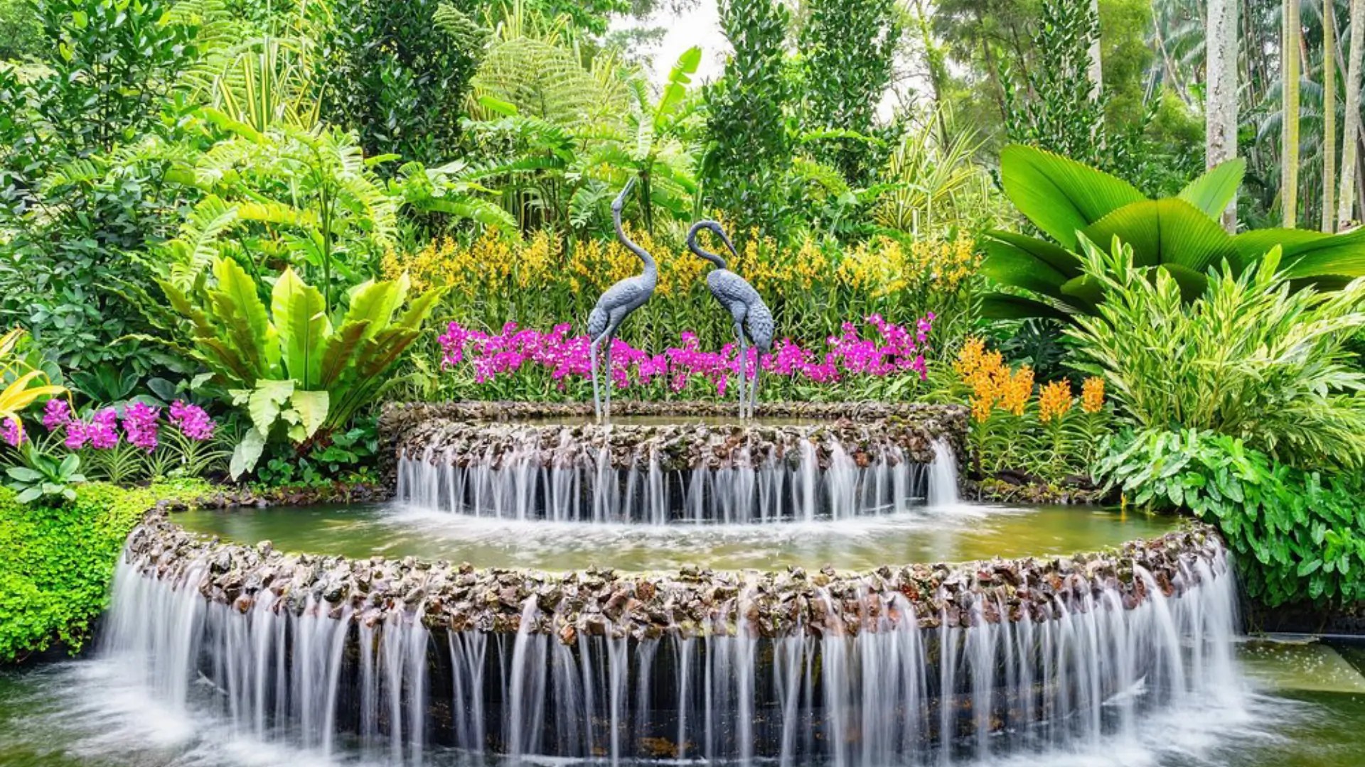 Tiered waterfall surrounded by lush tropical plants at Singapore Botanic Gardens.