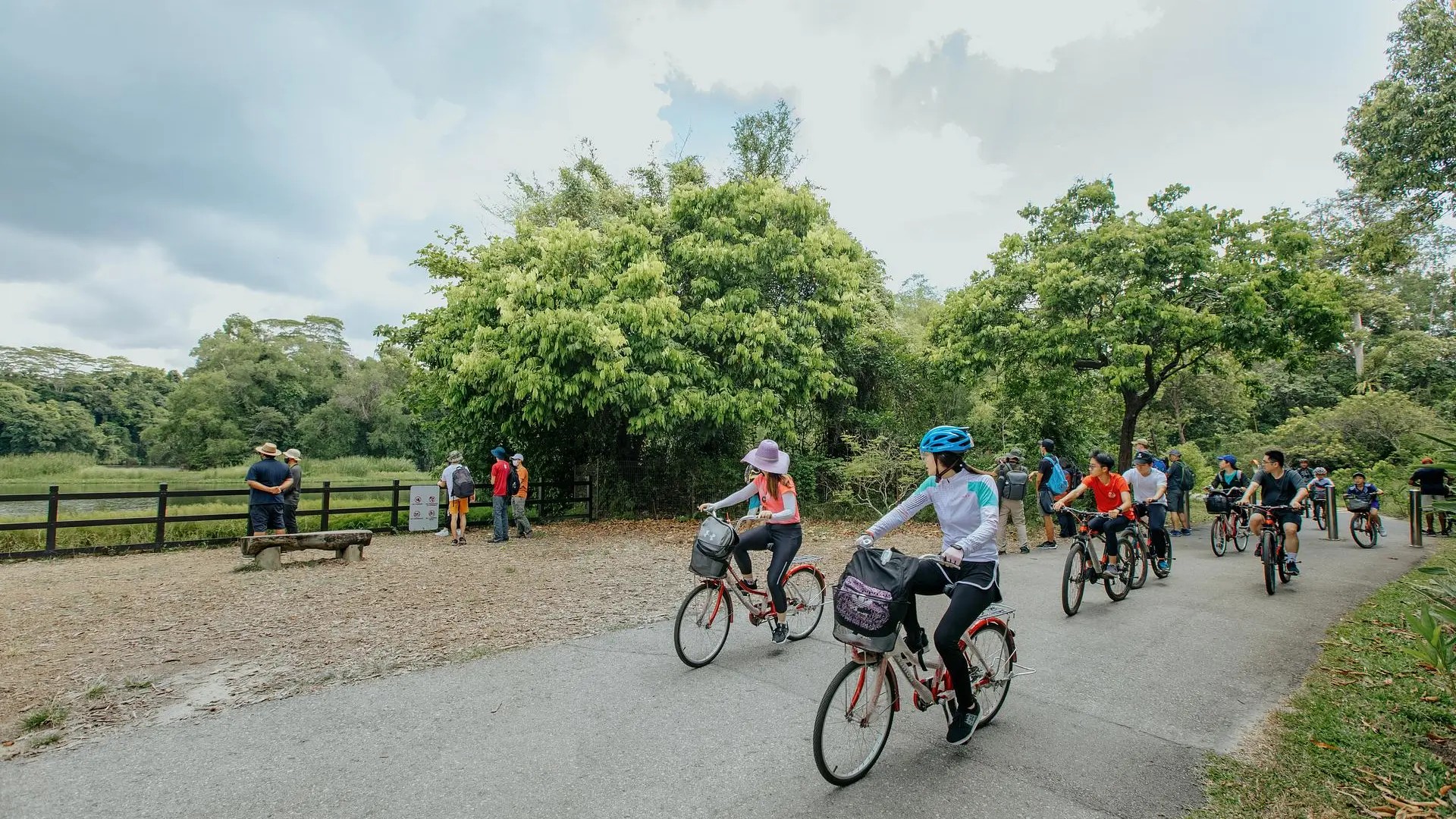 Cyclists riding along a scenic path on Pulau Ubin, surrounded by lush greenery in Singapore.