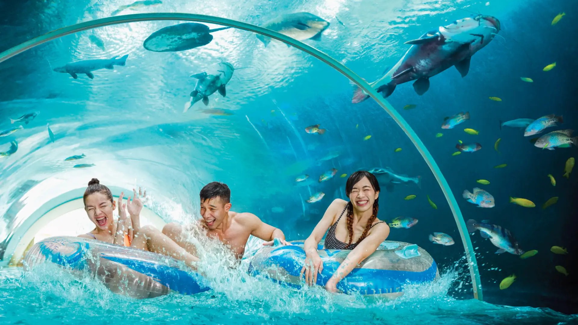 Family enjoying a water ride at Adventure Cove Waterpark on Sentosa Island, surrounded by tropical marine life