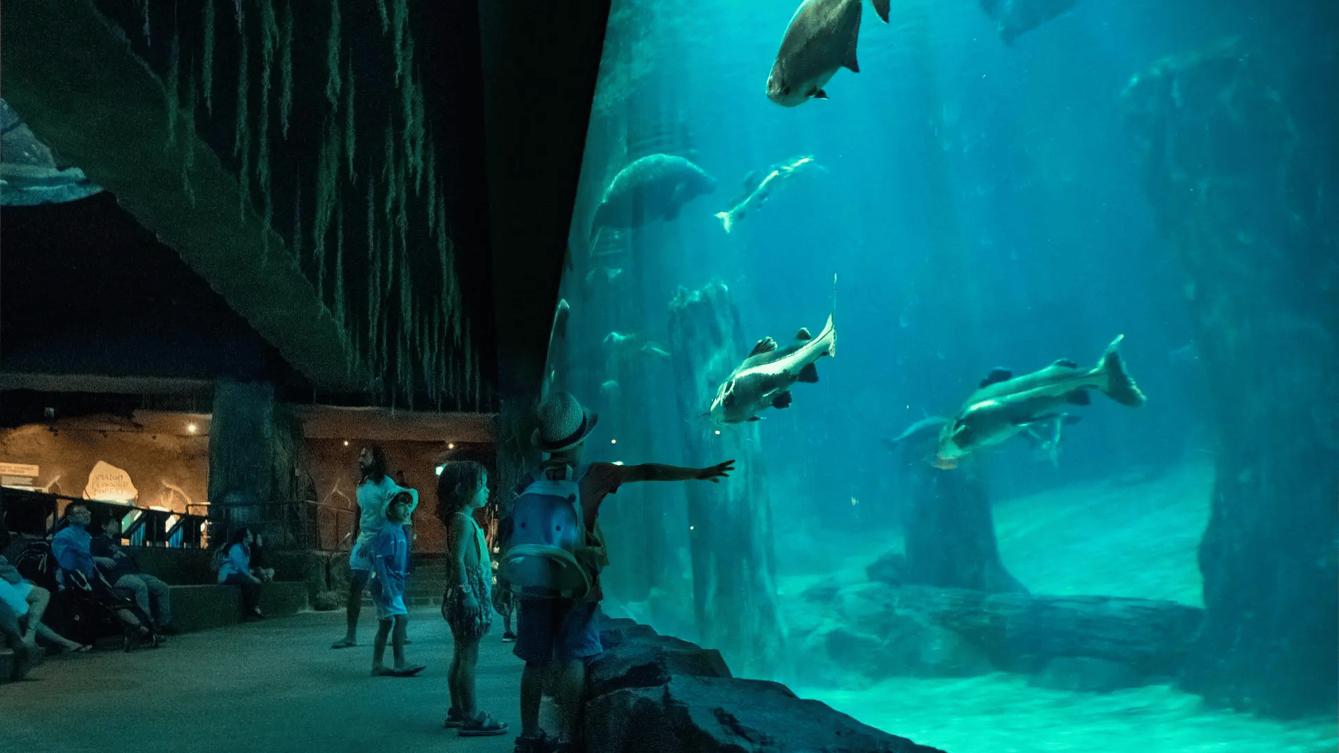 Family exploring marine life exhibits at the Singapore Oceanarium, watching fish and rays in a large underwater viewing gallery