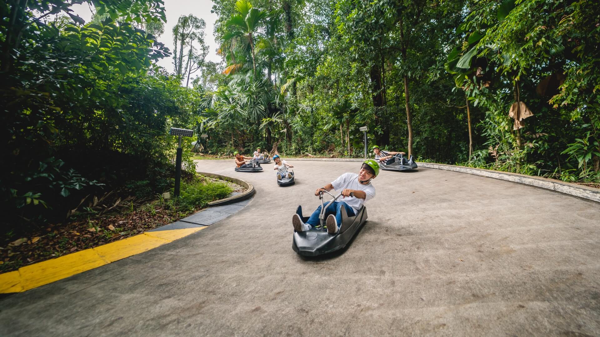 Group of riders enjoying Skyline Luge Singapore as they steer down a forest-lined track, with friends and families riding together through a scenic curve.