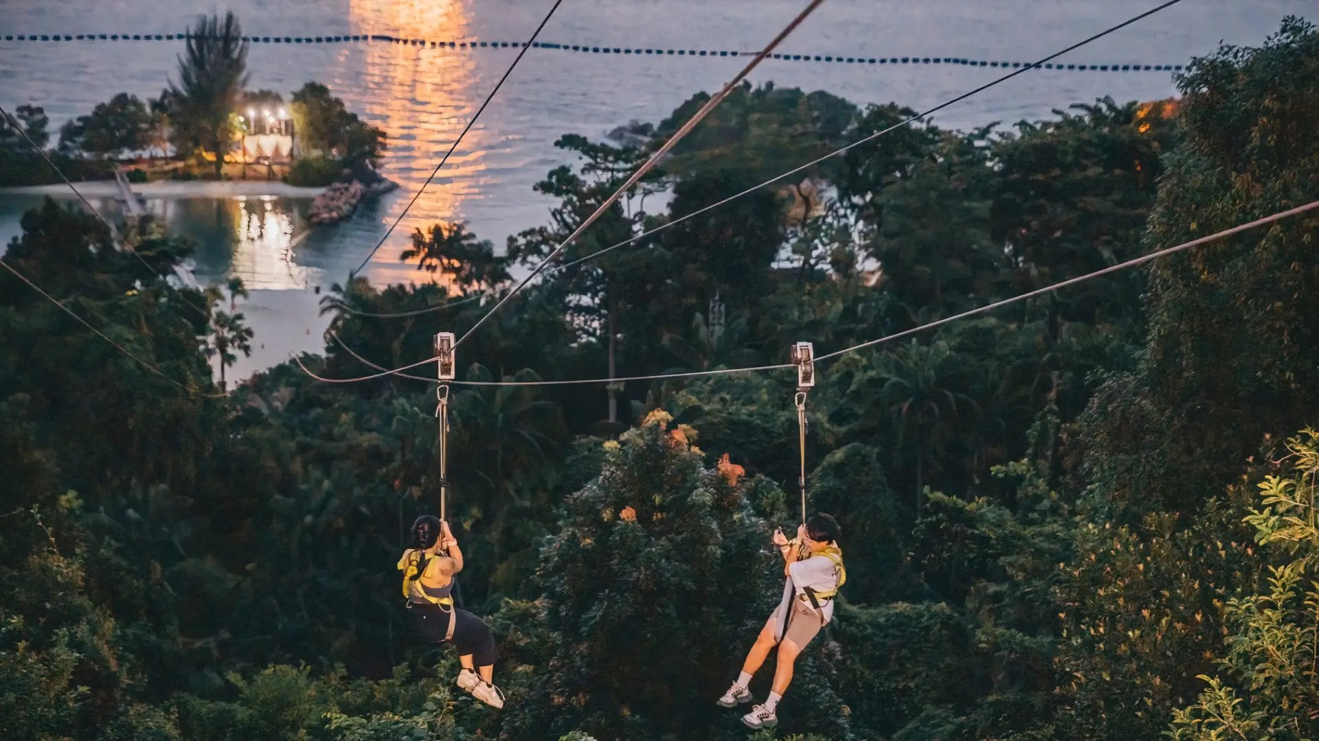 Two visitors ziplining through lush forest canopy on Sentosa Island with coastal views at dusk