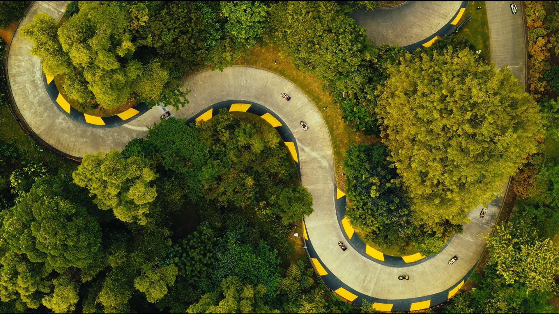 Aerial view of the Skyline Luge track winding through lush green forest with riders navigating curved downhill turns