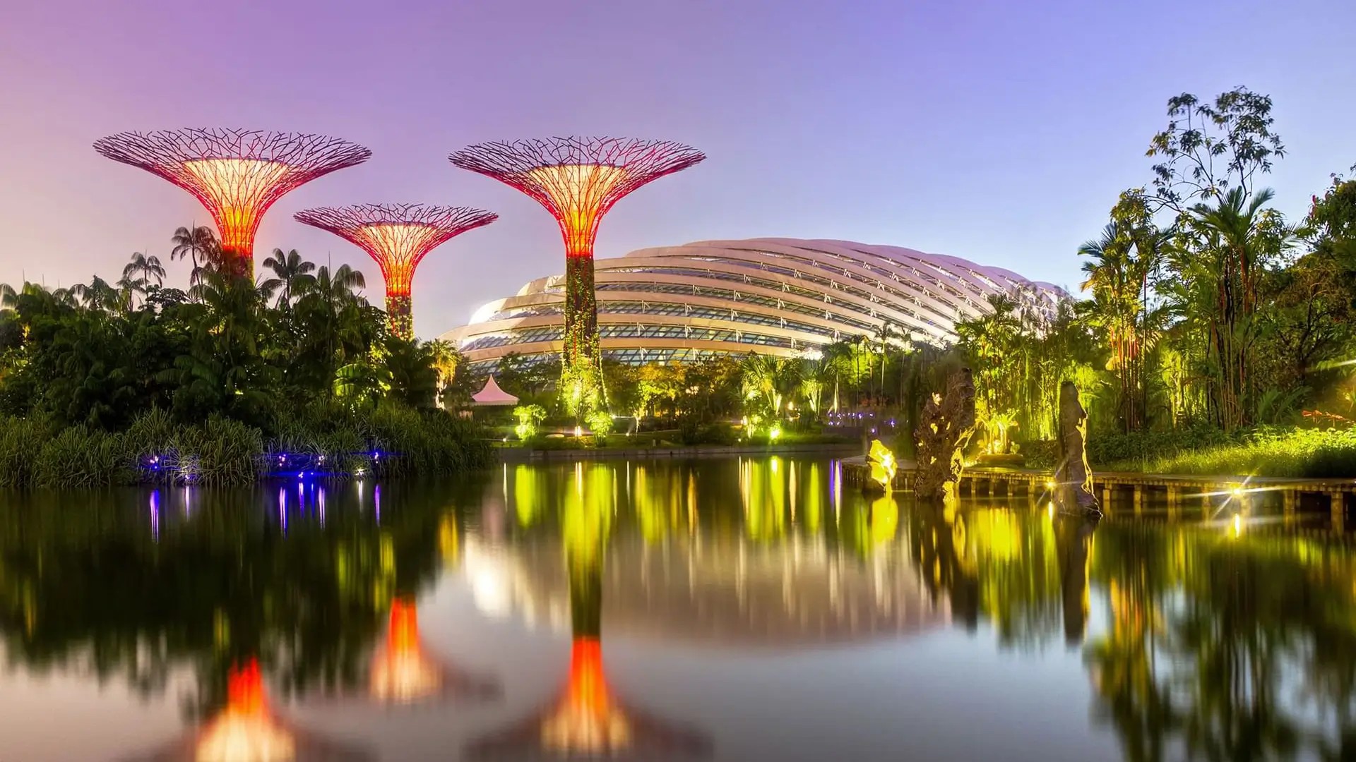 Illuminated Supertrees and lush gardens at Gardens by the Bay in Singapore, a nature escape near the city skyline